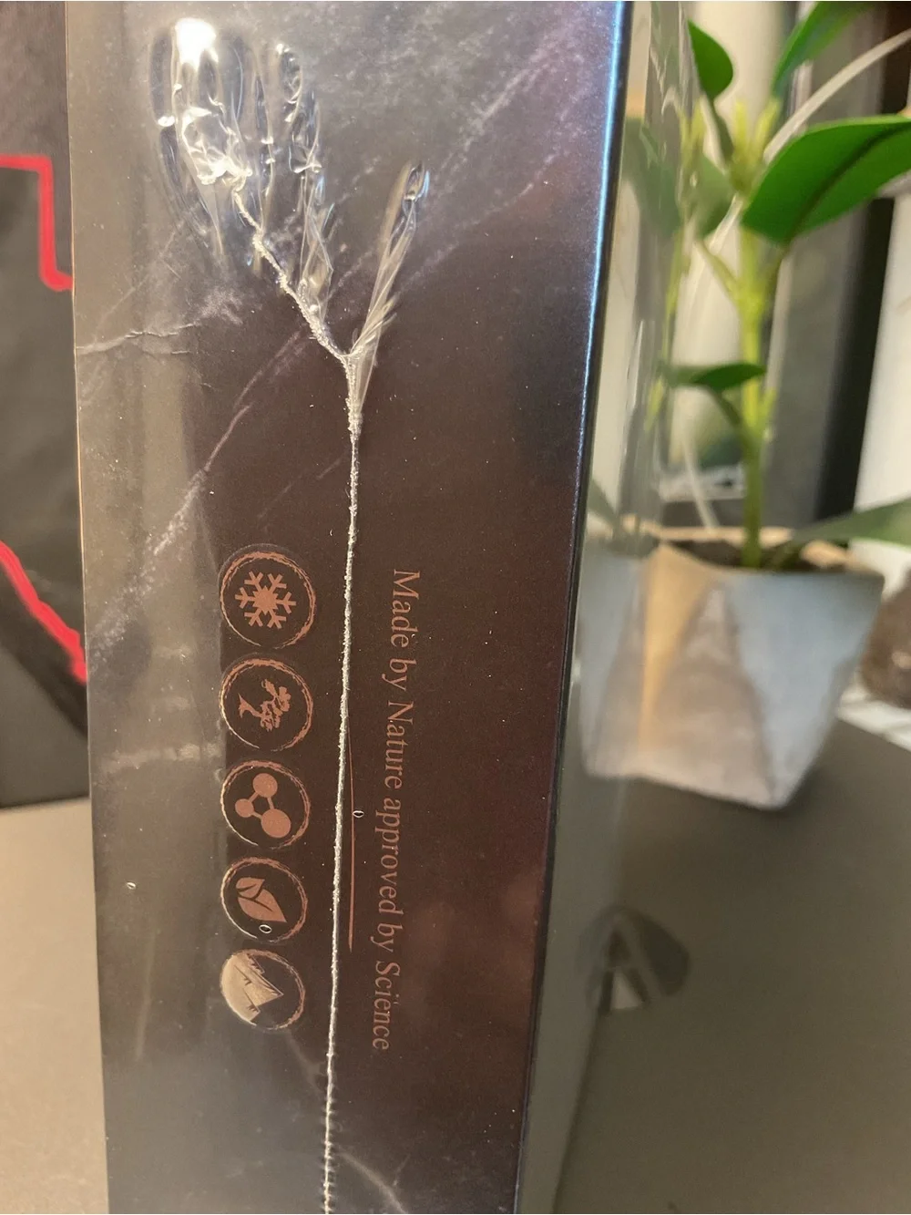Arctic Renewal Luxury Mask Set — Black